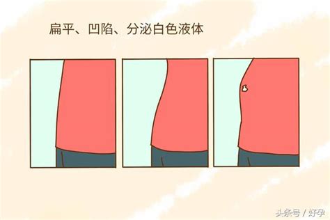 女人的乳頭|碰我這兒／關於乳房的迷思和誤解（18禁）